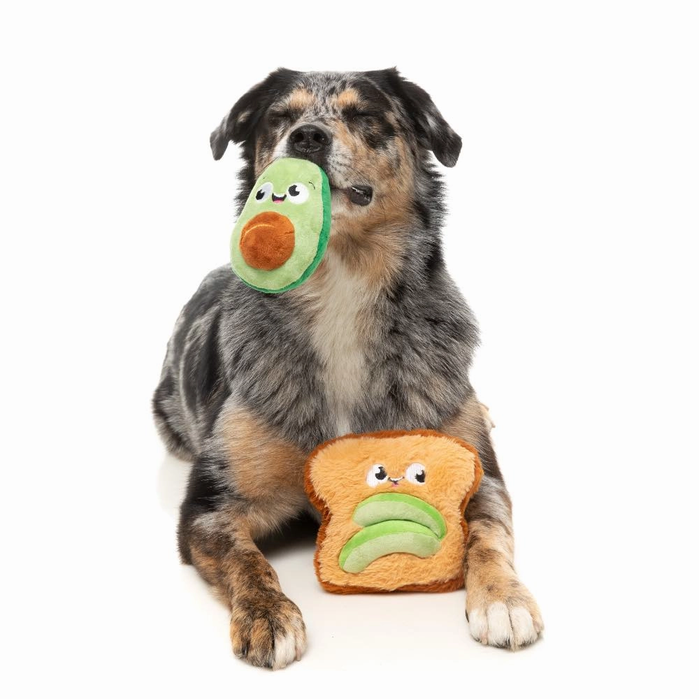 15% OFF: FuzzYard Avocado & Toast 2 Pcs Dog Toy