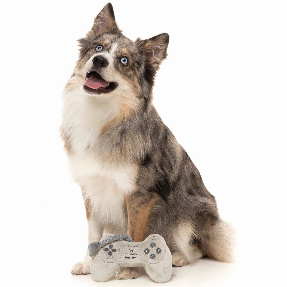 15% OFF: FuzzYard PawStation Controller Plush Dog Toy