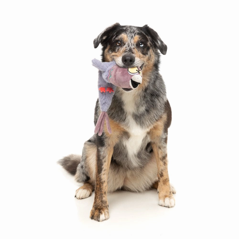 15% OFF: FuzzYard Peace Out Pigeon Dog Toy