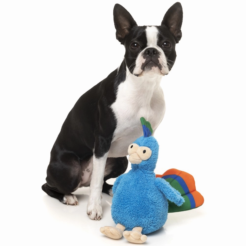 15% OFF: FuzzYard Showboat The Peacock Plush Dog Toy