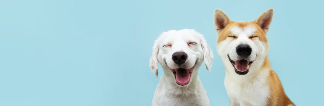 For Pets. For Love.