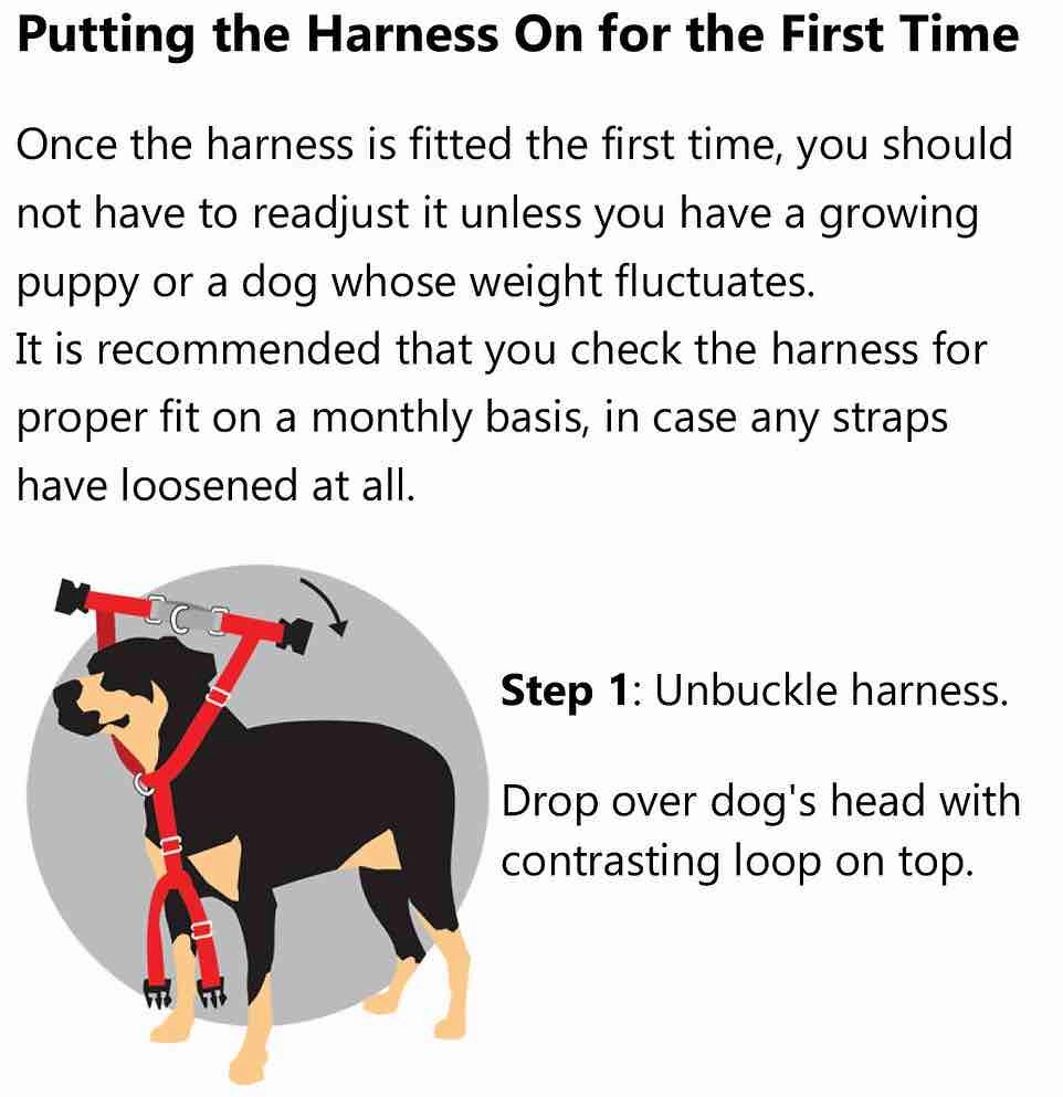 2 Hounds Design Freedom No-Pull Dog Harness & Leash - Purple/Black