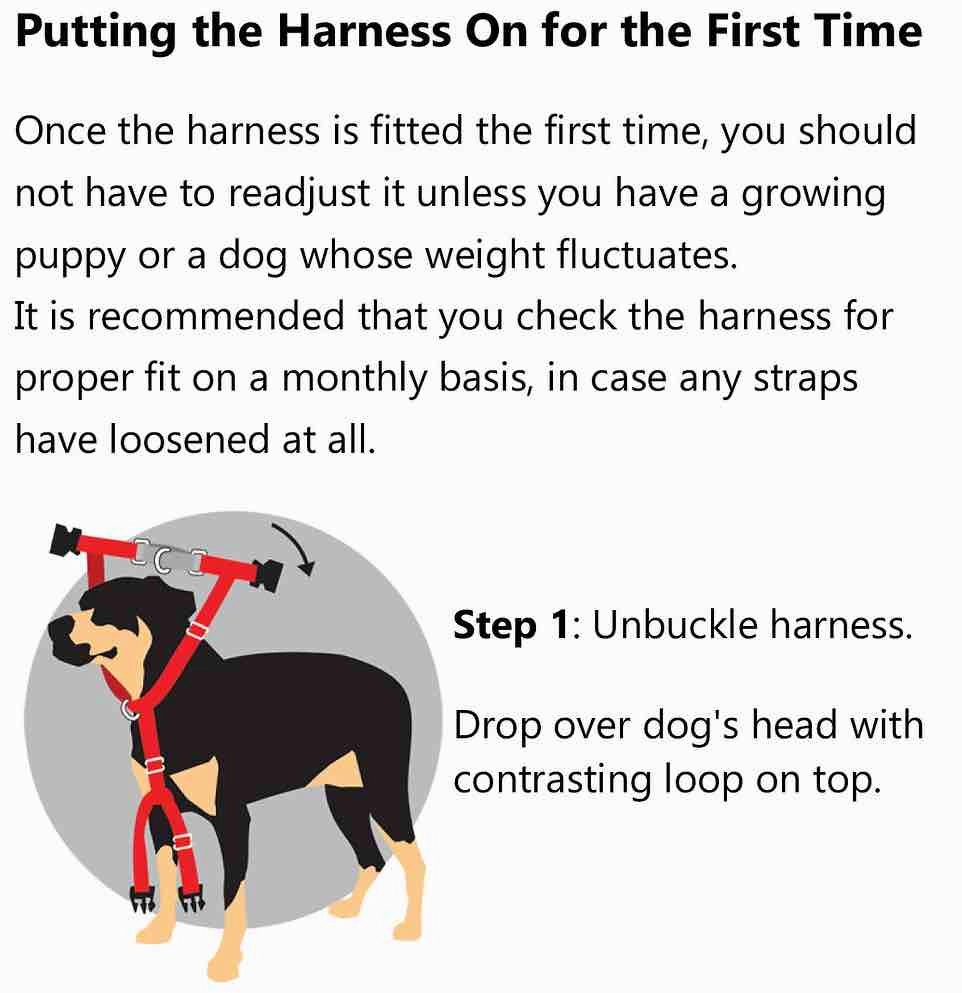2 Hounds Design Freedom No-Pull Dog Harness & Leash - Red/Black