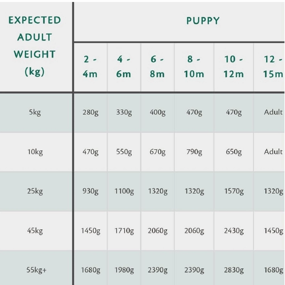 80% Gourmet Sausage Fresh Duck Wet Dog Food