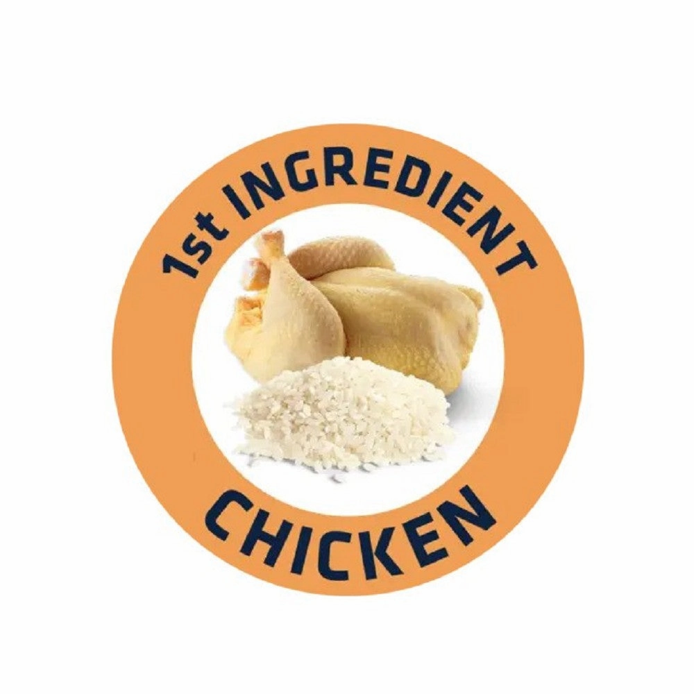 Active Defense - Chicken & Rice for Large Senior Vitality Dog Dry Food