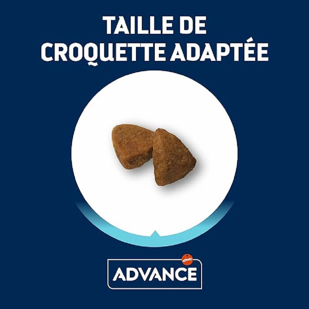 Active Defense - Chicken & Rice Small Bites for Mini Adult Dog Dry Food
