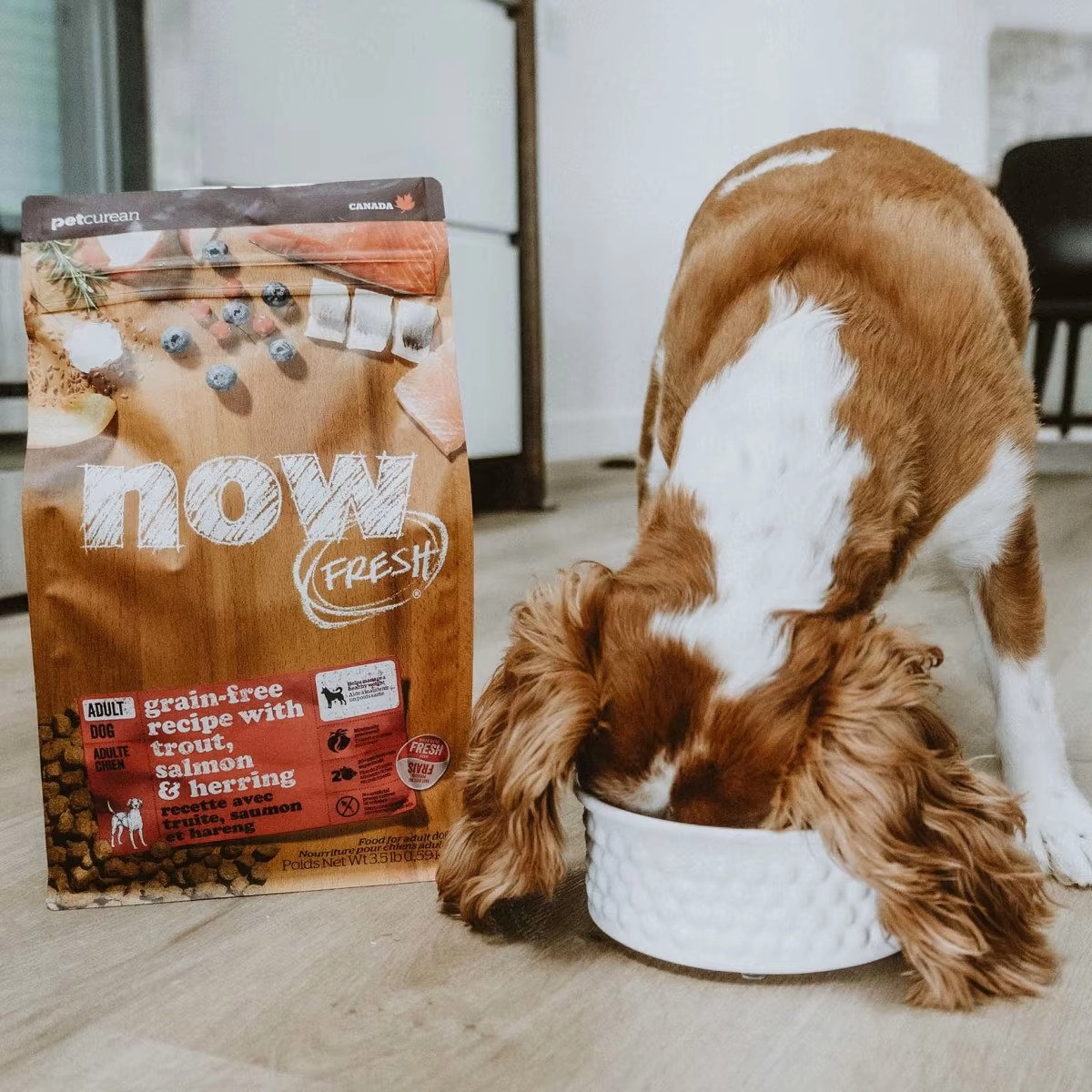 Adult Grain Free Trout & Salmon & Herring Dog Dry Food