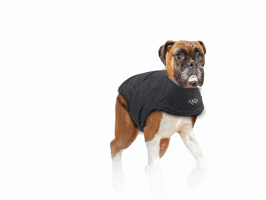 AFP Calming Pals-Dog Anti Anxiety Vest