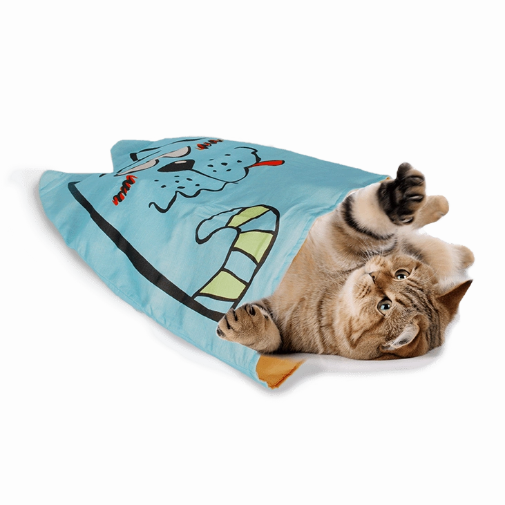 AFP Catoon-Whimsical Cat Sack