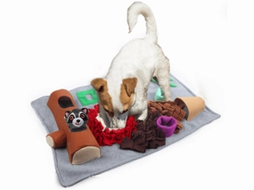 AFP Dig It-Fluffy Mat With Reccoon Toy