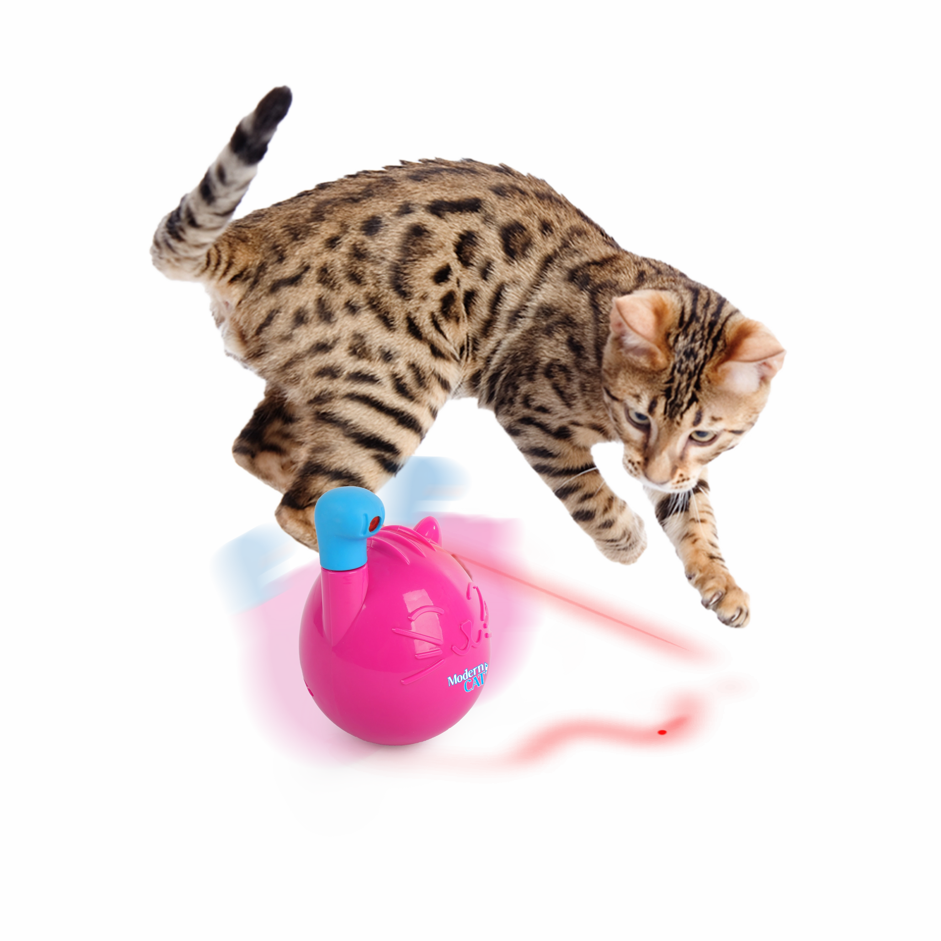 AFP Mordern Cat Wobble Laser Toy