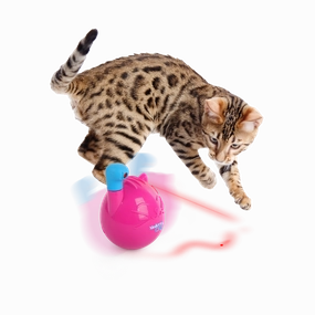 AFP Mordern Cat Wobble Laser Toy