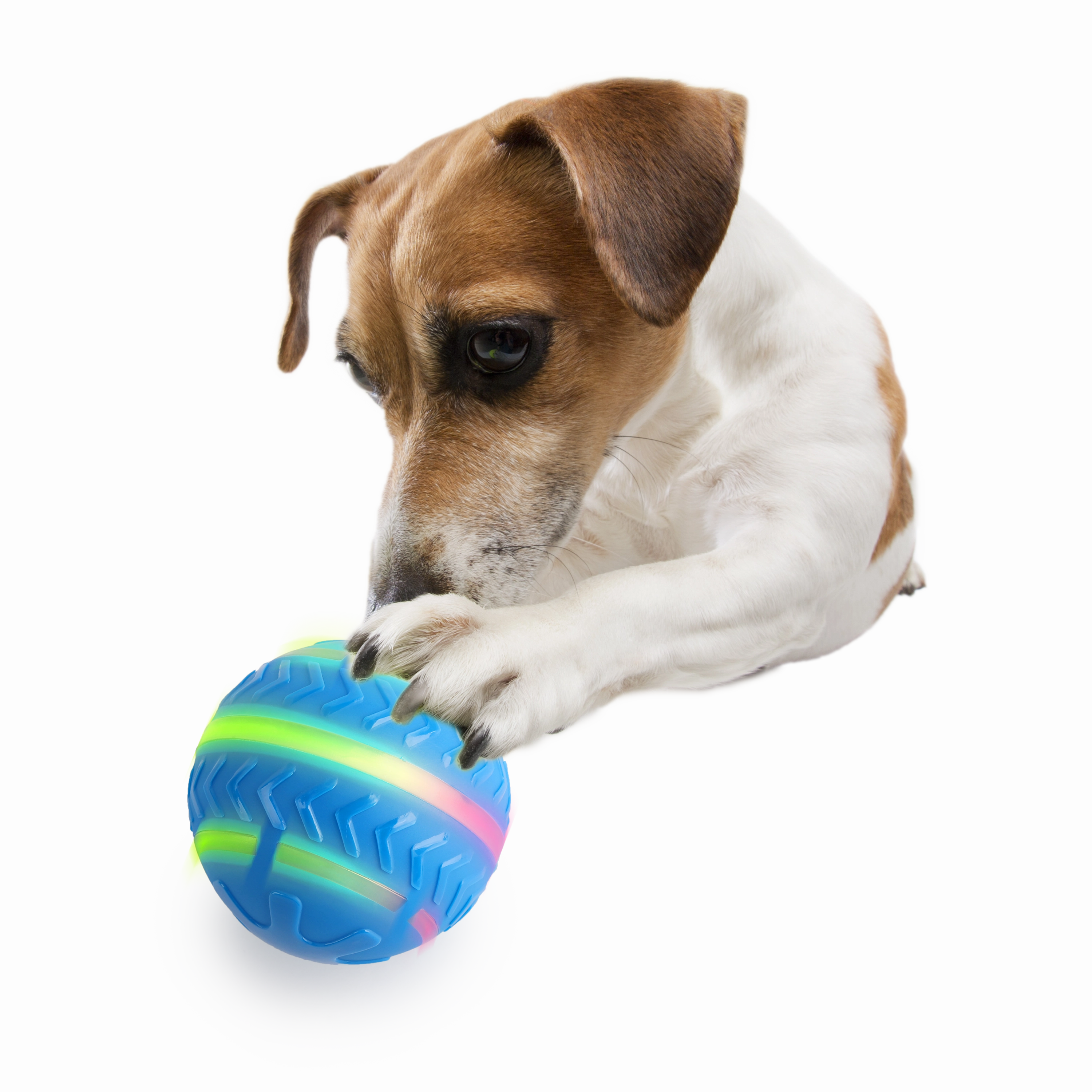 AFP Motion Activated Action Ball Dog Toy