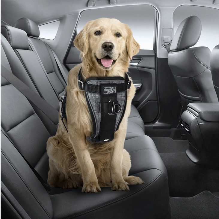 AFP Travel-Car Seat Harness
