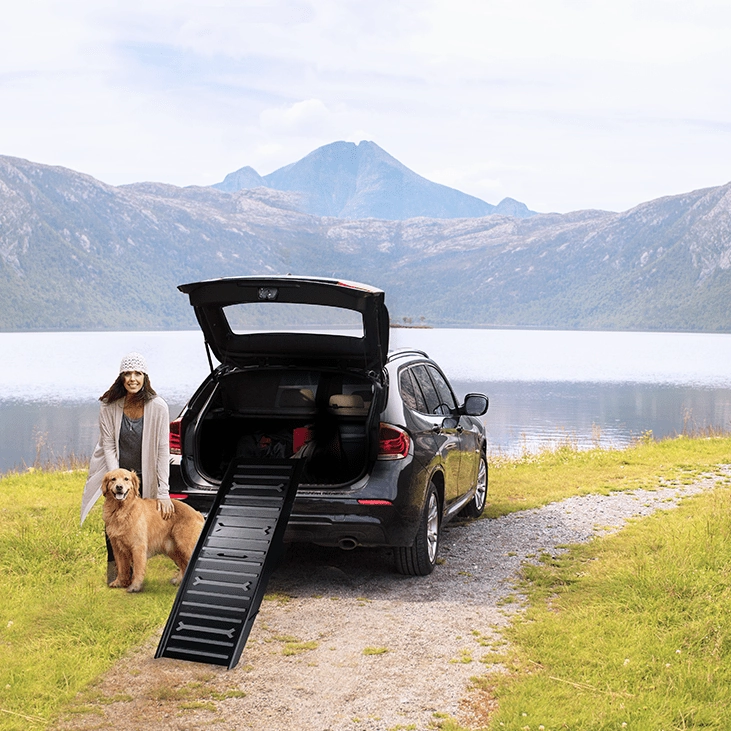 AFP Travel Dog  Easy Carry 4 fold Pet Ramp