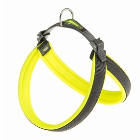 AGILA FLUO 4 YELLOW HARNESS