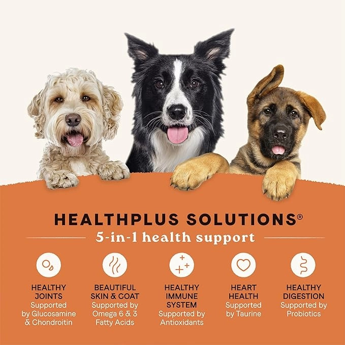 All Life Stages - Real Salmon & Ancient Dog Dry Food