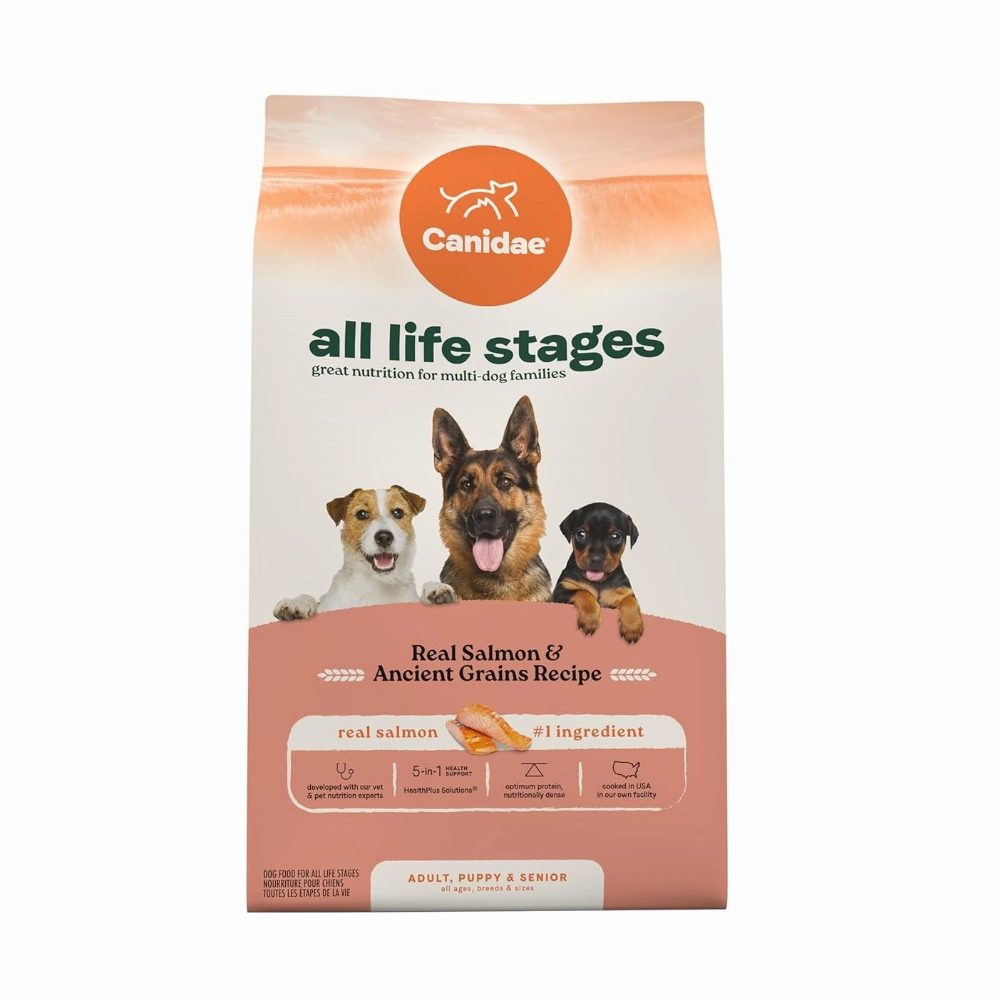 All Life Stages - Real Salmon & Ancient Dog Dry Food