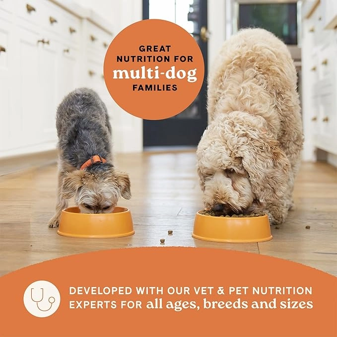 All Life Stages - Real Salmon & Ancient Dog Dry Food