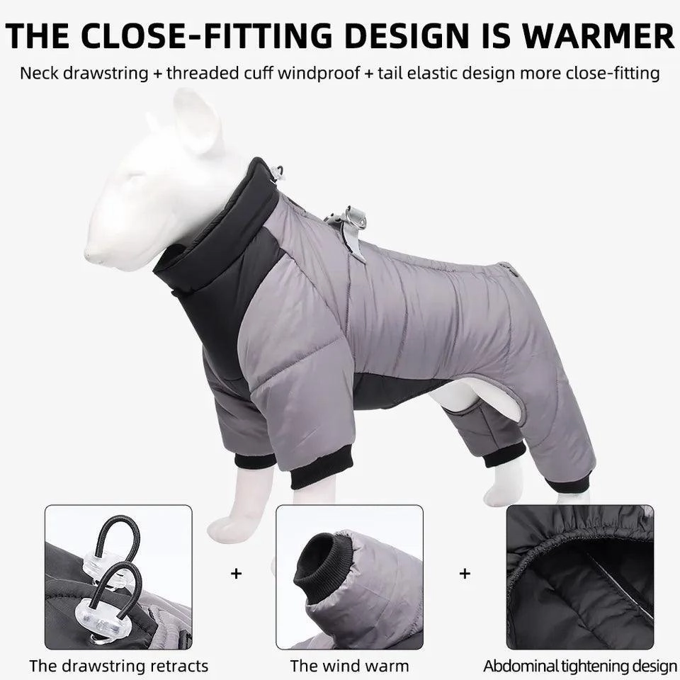 All Weather Dog All-In-One