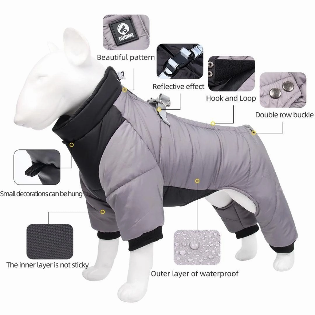 All Weather Dog All-In-One