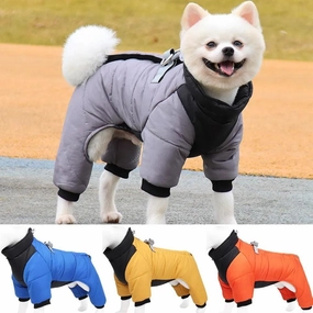All Weather Dog All-In-One