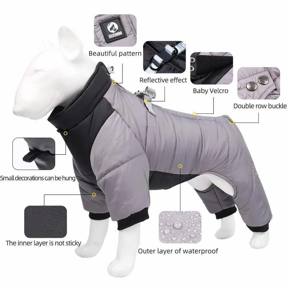 All Weather Dog All-In-One