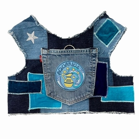 Astrological Expressions Aquarius Up-Cycled Harness
