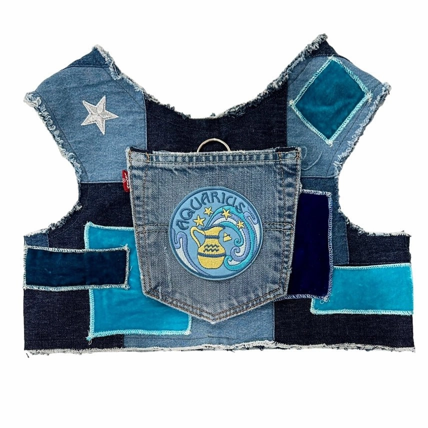 Astrological Expressions Aquarius Up-Cycled Harness