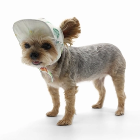Avocado Hat