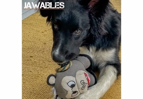 BAD BOY DOG TOY