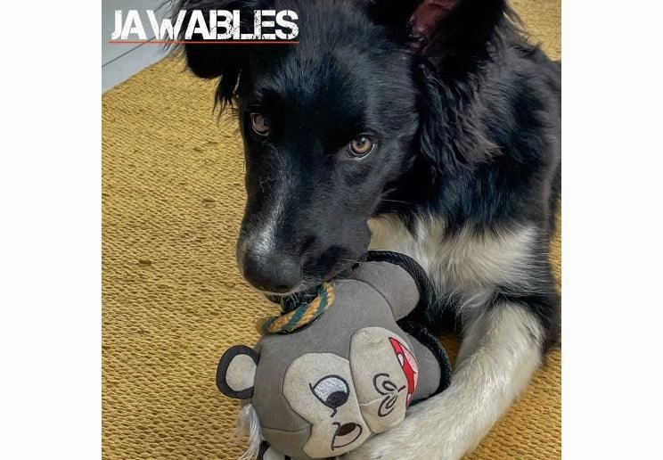 BAD BOY DOG TOY