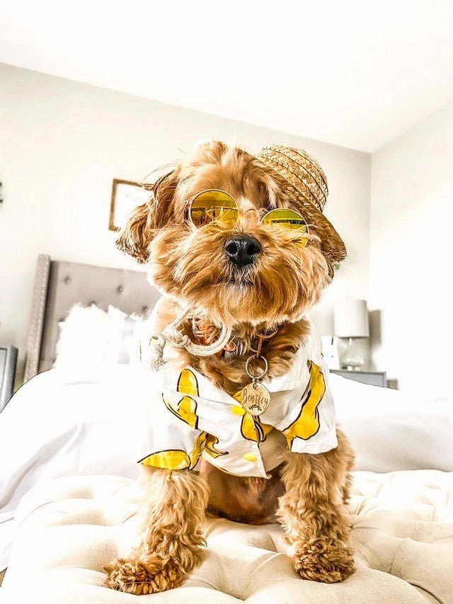 Banana Shirt