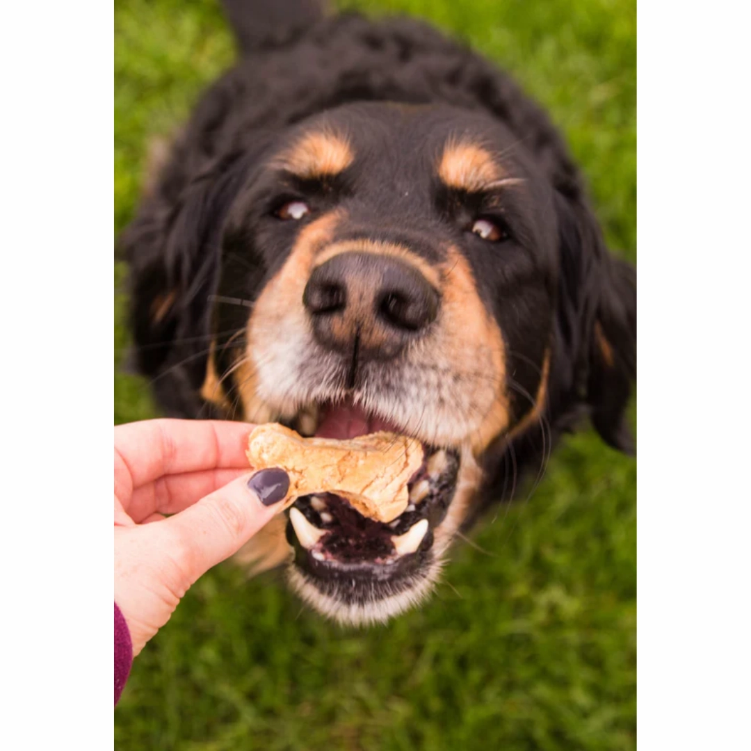 Bananas About Butter Happy Tails Barkery Dog Treats