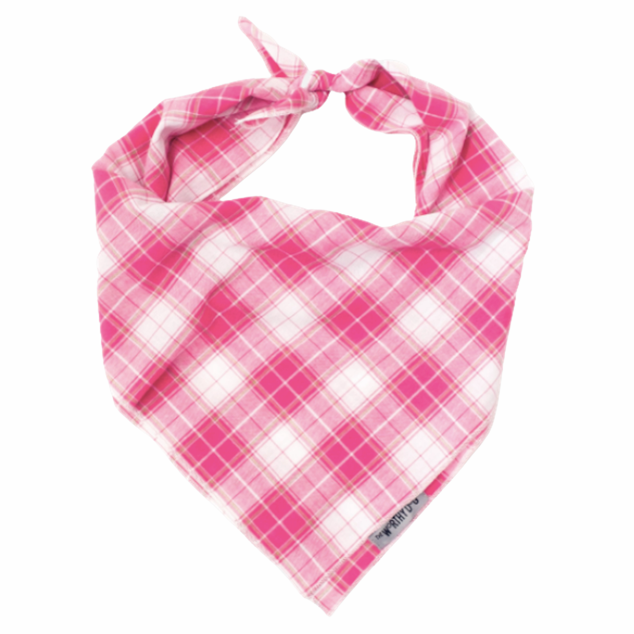 Bandana | Pink & White Madras Plaid