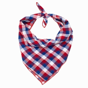 Bandana | Red, White, & Blue Check
