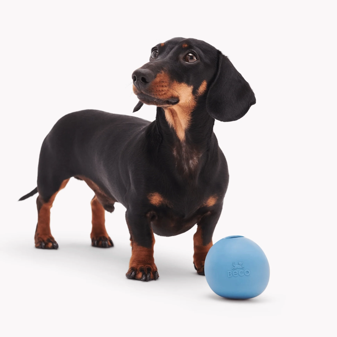 Beco Blue Rubber Wobble Ball