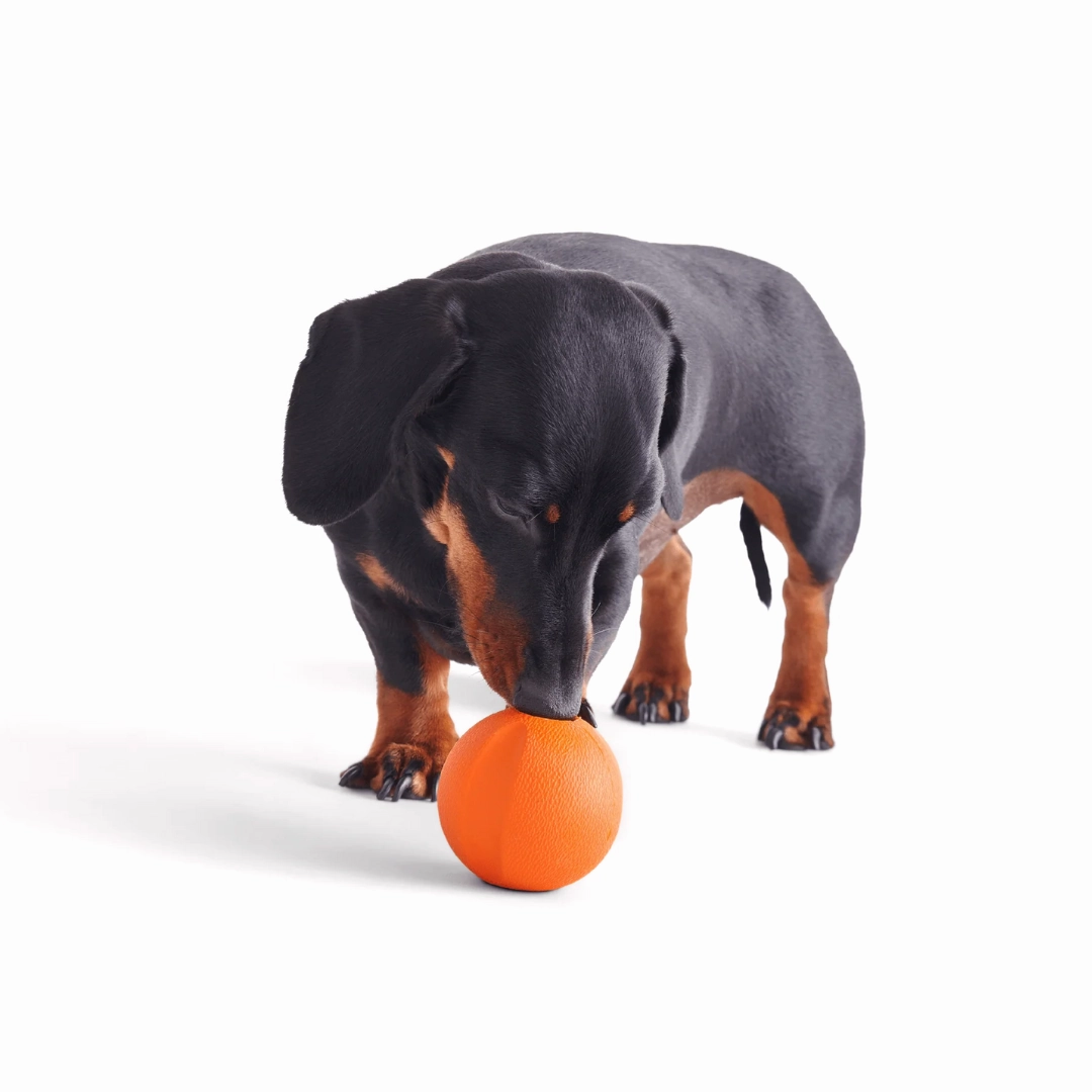 Beco Orange Rubber Fetch Ball