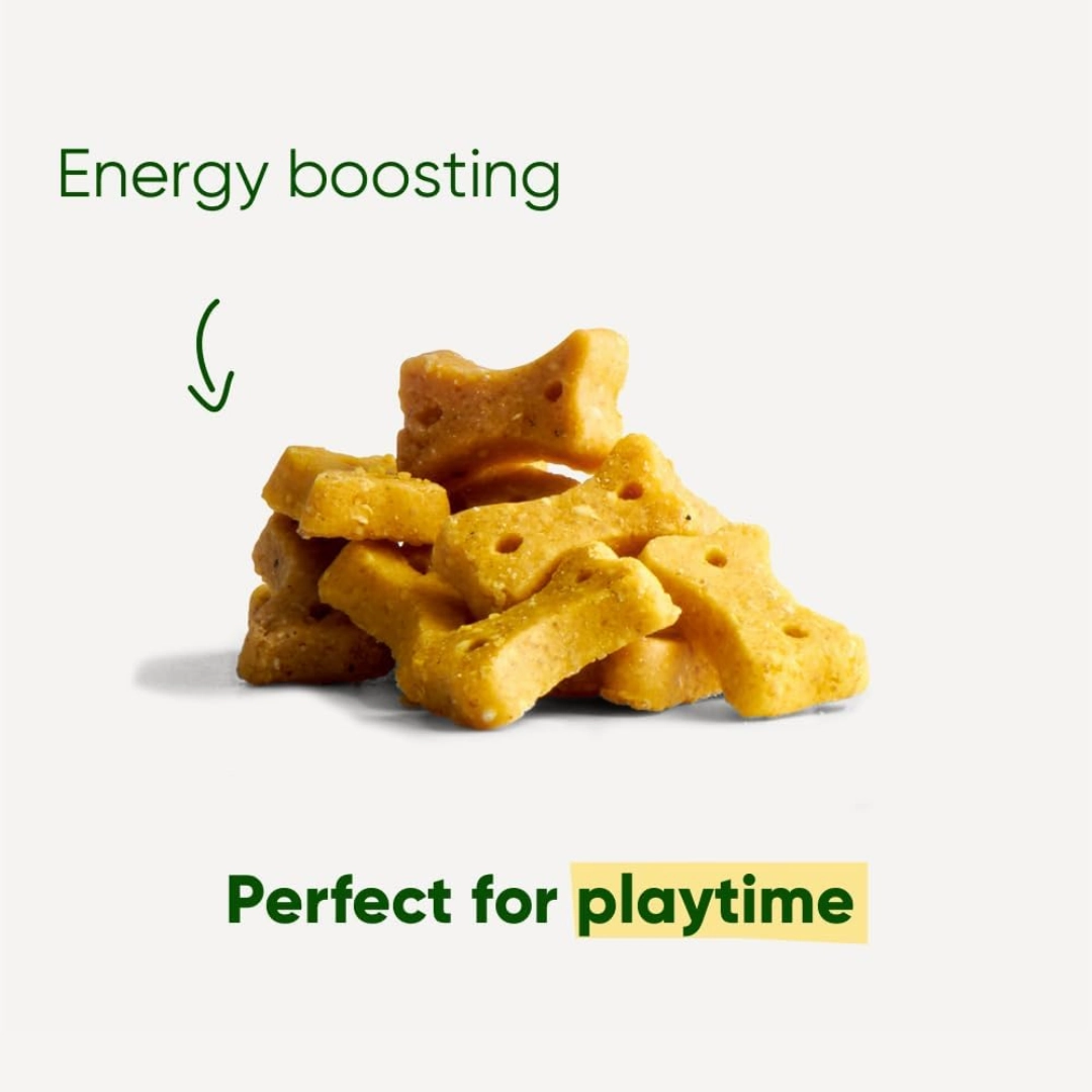 Beco Peanut with Coconut & Turmeric Dog Treats