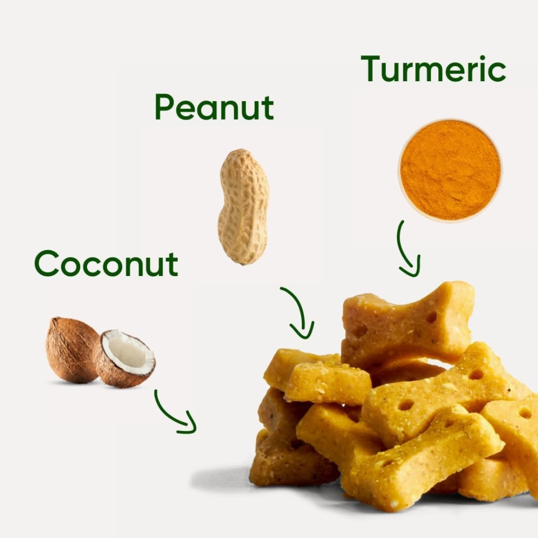 Beco Peanut with Coconut & Turmeric Dog Treats