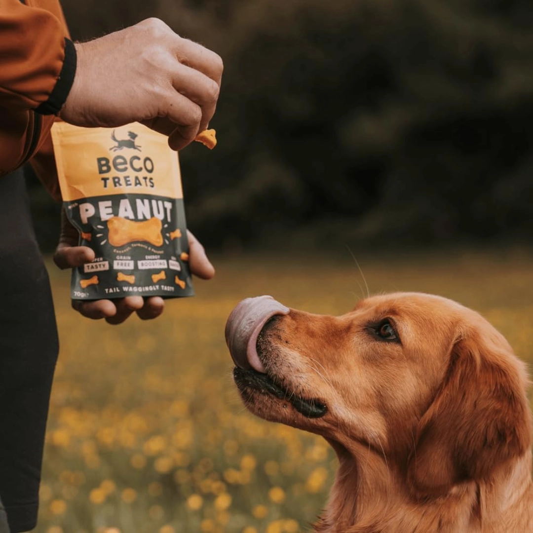 Beco Peanut with Coconut & Turmeric Dog Treats
