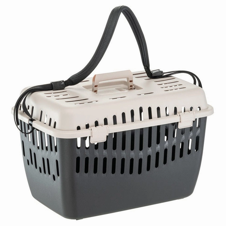 Binny 2 Carrier