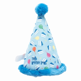 Birthday Hat | Party Blue