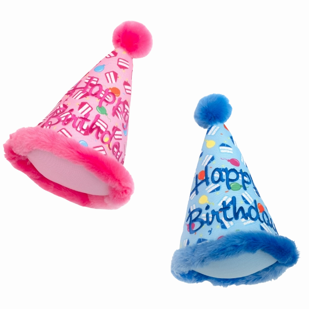 Birthday Hat | Party Pink