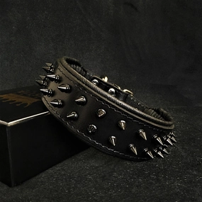 BLACK "Frenchie" collar