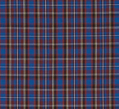 Blue Plaid School Boy Dog Bow Tie