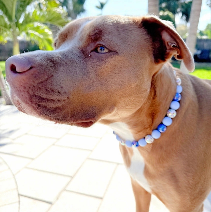 Blueberry Bash Beaded Collar