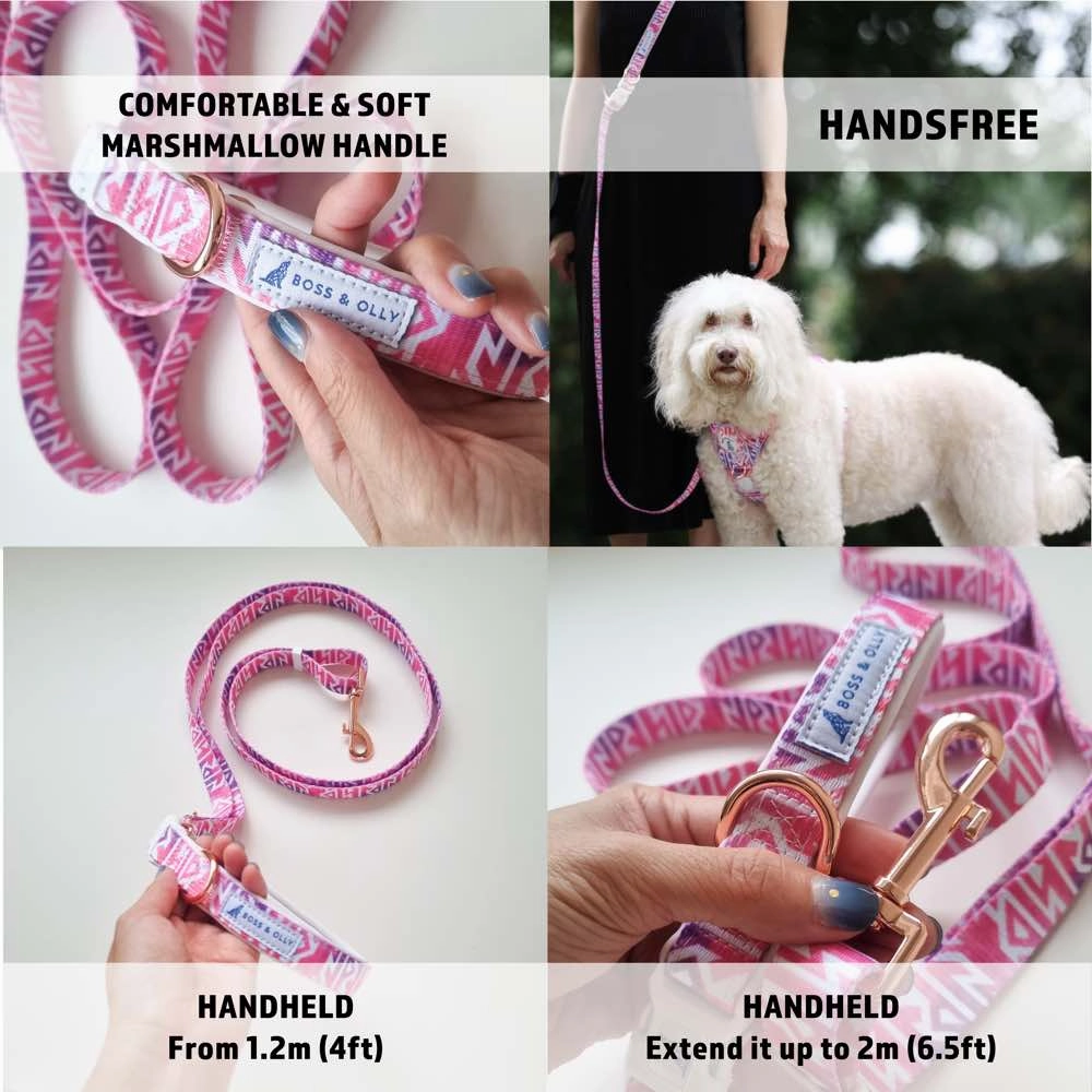 Boss & Olly Convertible Multi-Functional Dog Leash (Autumn Leaves)