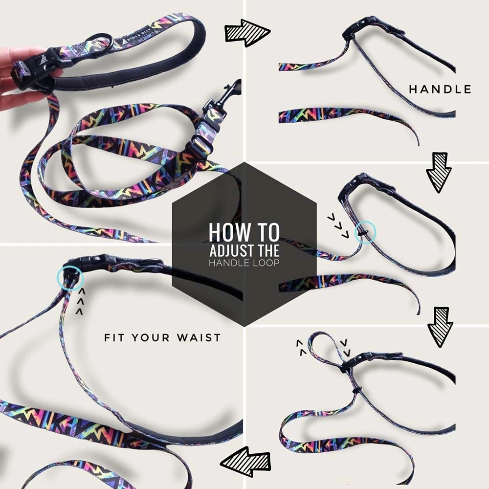 Boss & Olly Convertible Multi-Functional Dog Leash (Aztec Rainbow)