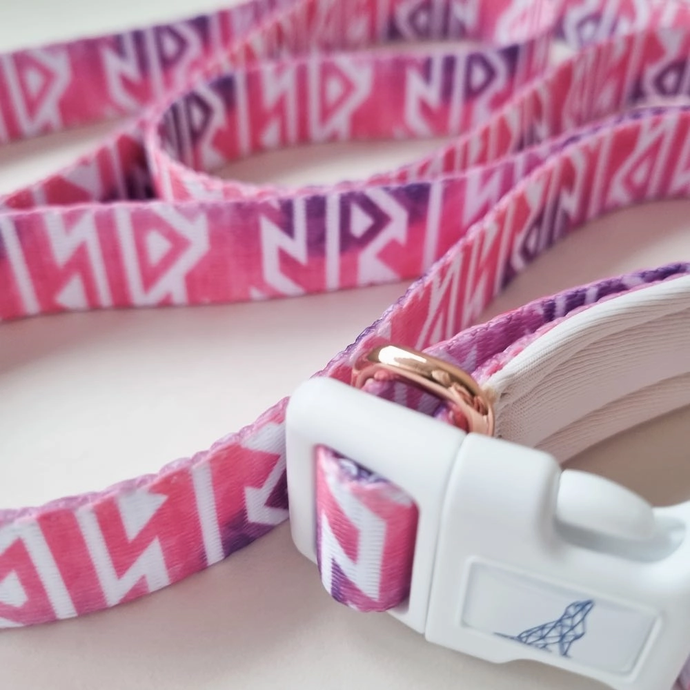 Boss & Olly Convertible Multi-Functional Dog Leash (Fruity Sorbet)